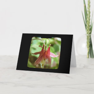 Columbine Flower TTV Card