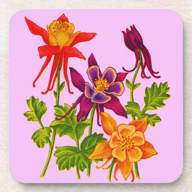 columbine flowers coaster (Front)