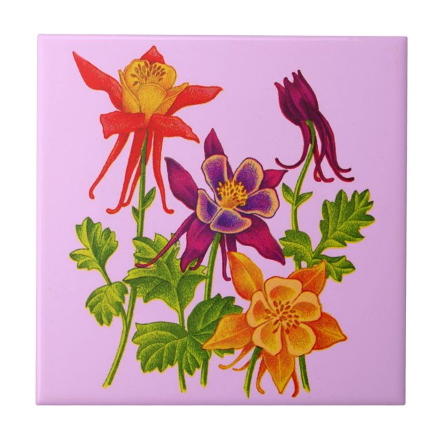 columbine flowers tile (Front)