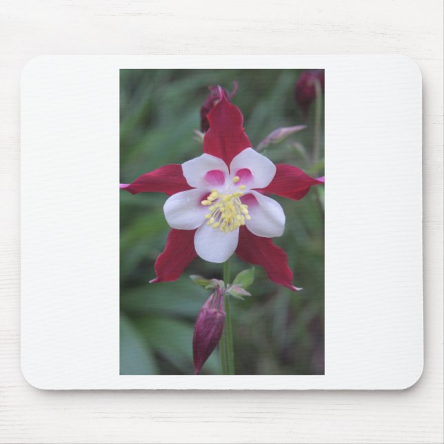 Columbine Mouse Mat (Front)