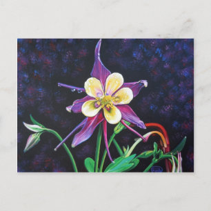 Columbine Postcard
