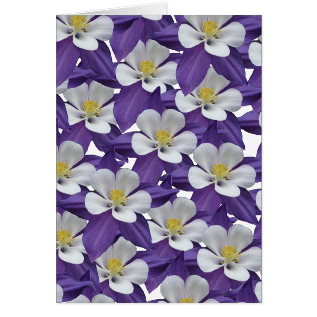 Columbine Purple and White Flower Card (Front)