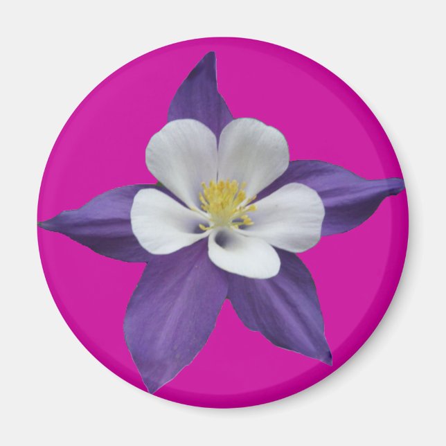 Columbine Purple and White Flower Magnet (Front)