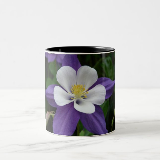 Columbine Purple and White Flower Two-Tone Coffee Mug (Center)