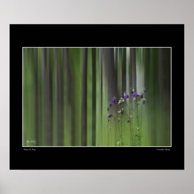 Columbine Spring Poster (Front)