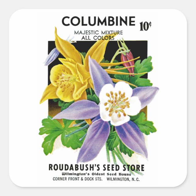 Columbine Square Sticker (Front)