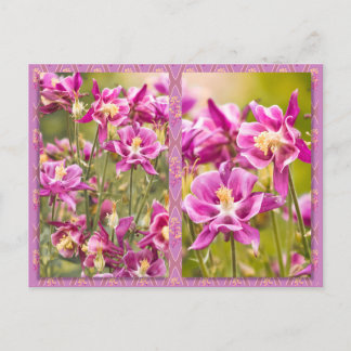 Columbines Diptych Postcard
