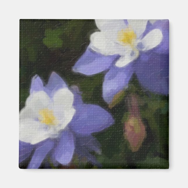 Columbines Magnet (Front)