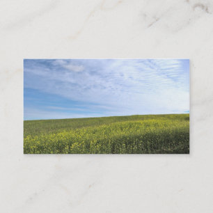 Colza Field - Business Card