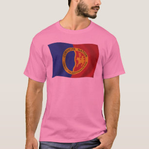 Comanche Nation Flag Shirt