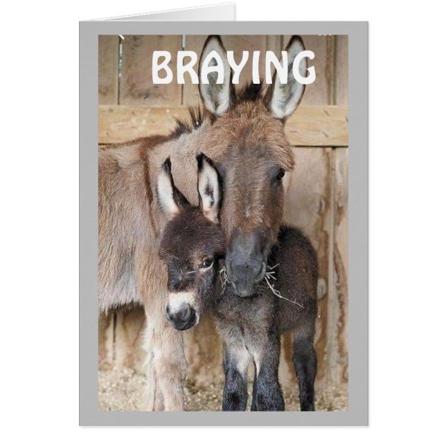 COMDEDIC DONKEYS "CONGRATS ON NEW HOME" (Front)