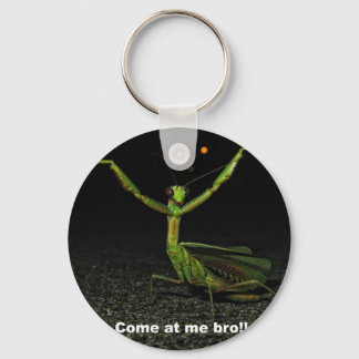Come at me bro Mantis Key Ring