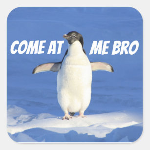 Come at Me Bro Meme Penguin Square Sticker
