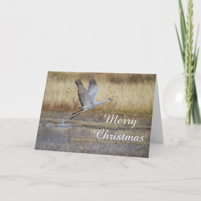 Come fly with me Merry Christmas Holiday Card (Front)