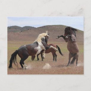 Come Get Some Postcard