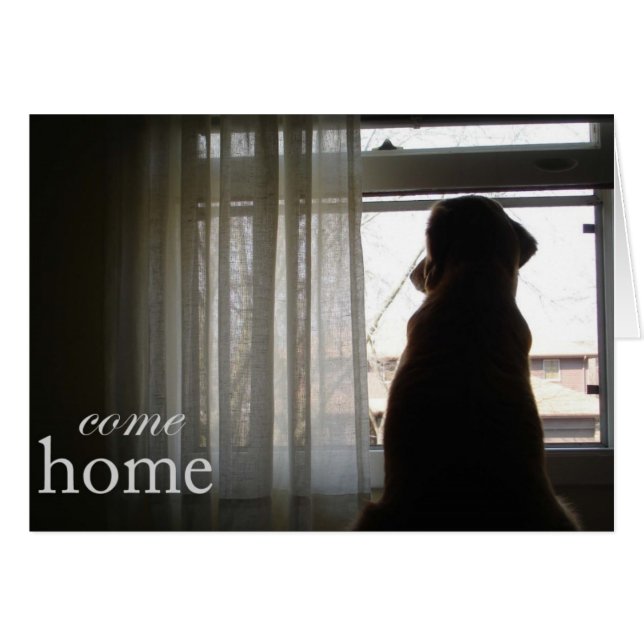 Come Home (Front Horizontal)