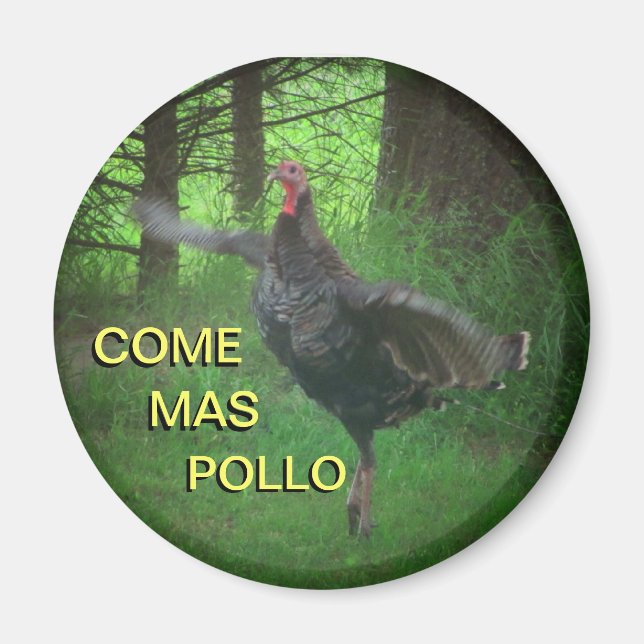 Come Mas Pollo Funny Turkey Meme Magnet (Front)
