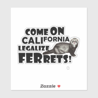 'Come on, California, Legalise Ferrets!'