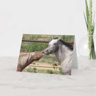Come on gimme a big kiss! holiday card