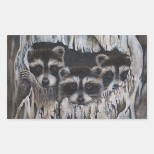 "Come on in" three raccoons in a tree Rectangular Sticker