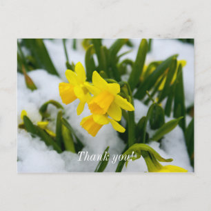 Come On Spring Time Thank You Postcard