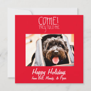 COME! Pet Photo Holiday Card