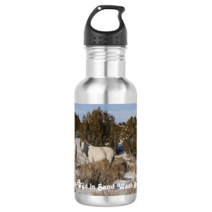 Come See The Wild 532 Ml Water Bottle