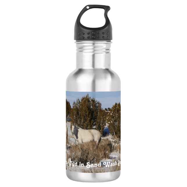 Come See The Wild 532 Ml Water Bottle (Front)