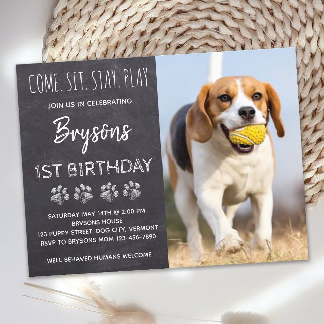 Come Sit Stay Play Chalkboard Puppy Dog Birthday  Invitation Postcard (Creator Uploaded)