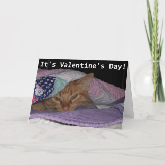 Come Snuggle Cat Valentine Holiday Card