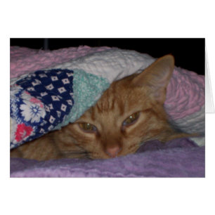 "Come Snuggle" Everyday Card