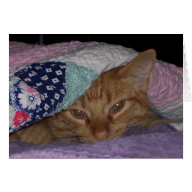 "Come Snuggle" Everyday Card (Front Horizontal)