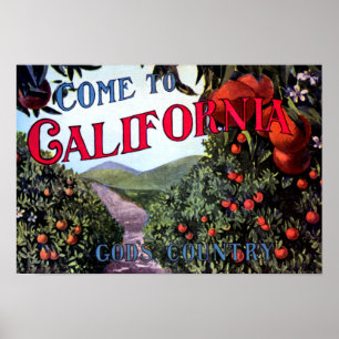 Come to California Vintage Graphic Poster
