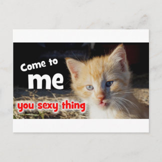 Come to me you sexy thing postcard
