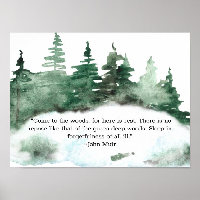 Come To The Wood Muir Quote Forest 16x12 Poster (Front)