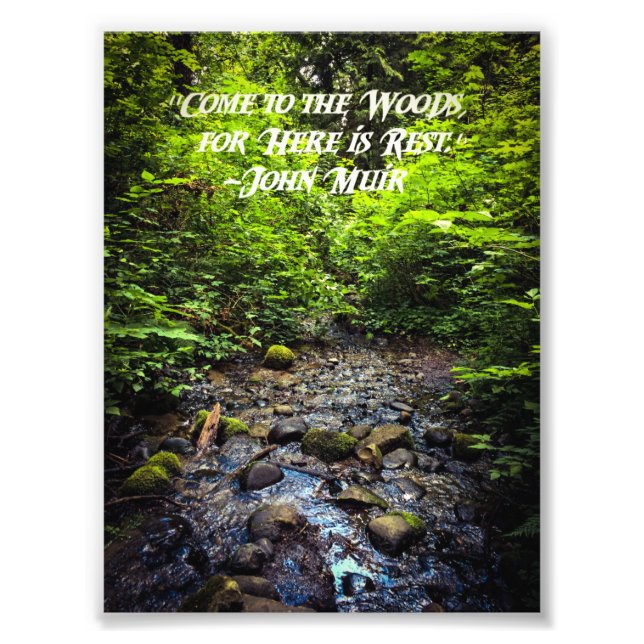 Come to the Woods Photo Print (Front)