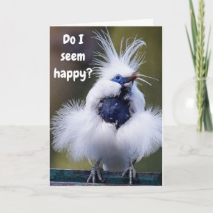 "COMEDIC BIRD" SAY U R TURNING 50 NOT ME! CARD