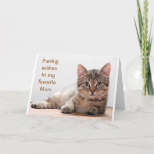 *COMEDIC CAT* FOR MY *MOM'S* BIRTHDAY CARD