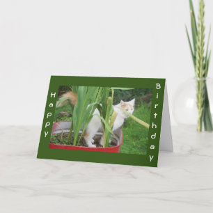 COMEDIC CAT HIDING BUT SAYS "HAPPY BIRTHDAY" CARD
