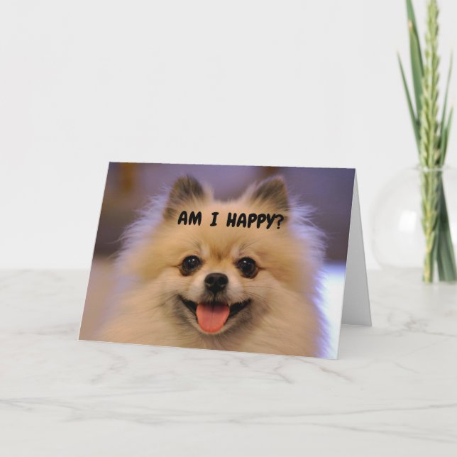 COMEDIC POMERANIAN HAPPY "60th BIRTHDAY" Card (Front)