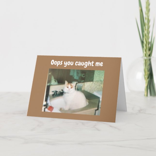 COMEDIC TURKISH VAN SAYS HAPPY BIRTHDAY CARD (Front)