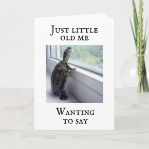 "COMEDIC TURTLE SAY "YOU ARE OLD" CARD