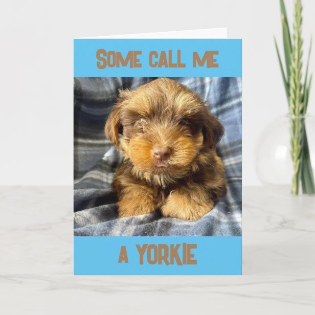 COMEDIC YORSHIRE TERRIER SAYS "HAPPY BIRTHDAY" CARD (Front)