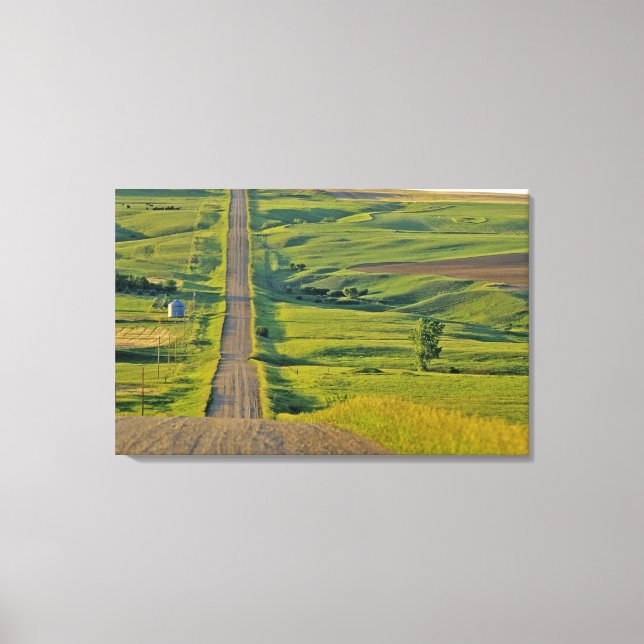 Comertown gravel road in remote northeastern canvas print (Front)