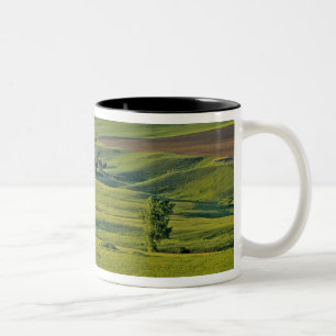 Comertown gravel road in remote northeastern Two-Tone coffee mug