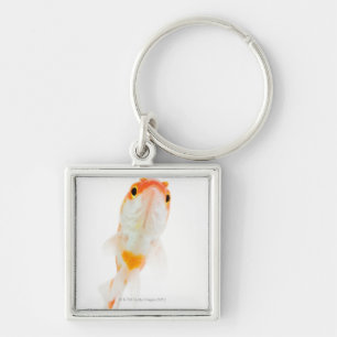 Comet / Comet-tailed goldfish Key Ring