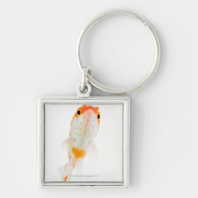 Comet / Comet-tailed goldfish Key Ring (Front)