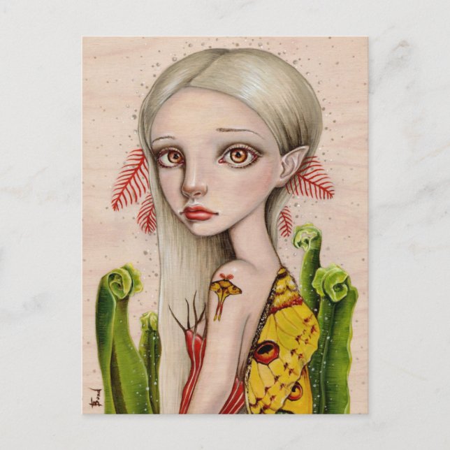 Comet Moth Postcard (Front)