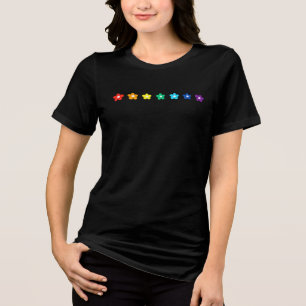 Comfort Colours Rainbow Daisies Pride Shirt: Paste Tri-Blend Shirt