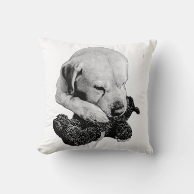 Comfort Keeper Cushion (Front)